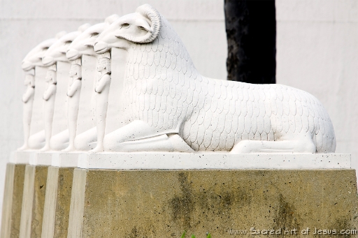 Kneeling Rams O5H5207.jpg